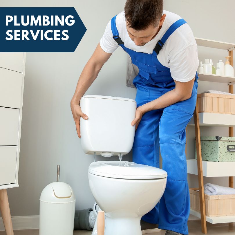 Plumbing Company in Cedarville, IL
